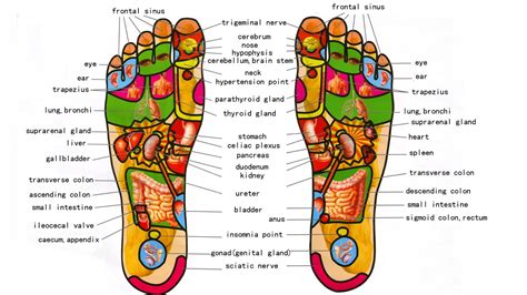 Magic Feet Reflexology LLC: The Key to Holistic Healing